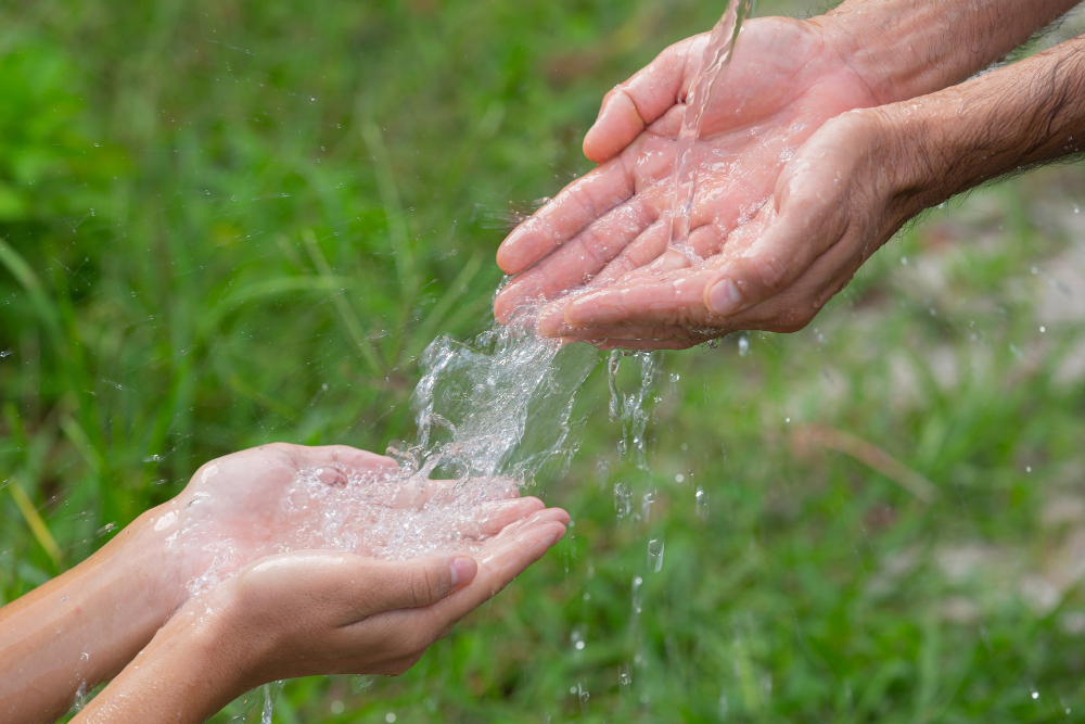 How to Save Water and Money at Home: 4 Easy Tips and a Professional Solution