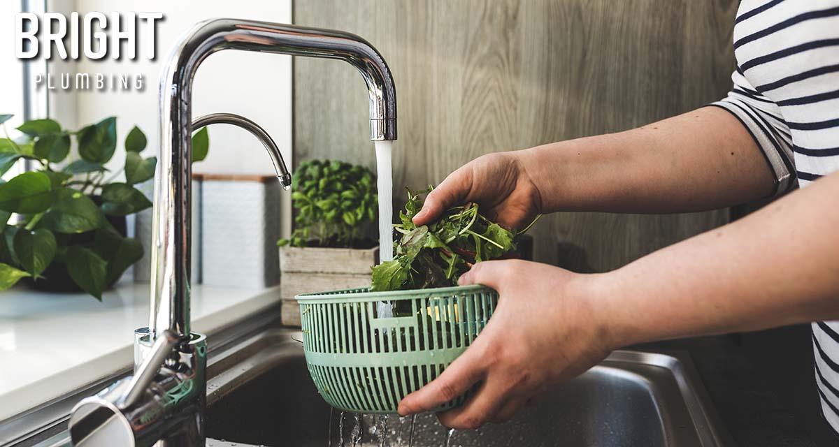 Wellness Wednesday: Embracing Eco-Friendly Plumbing